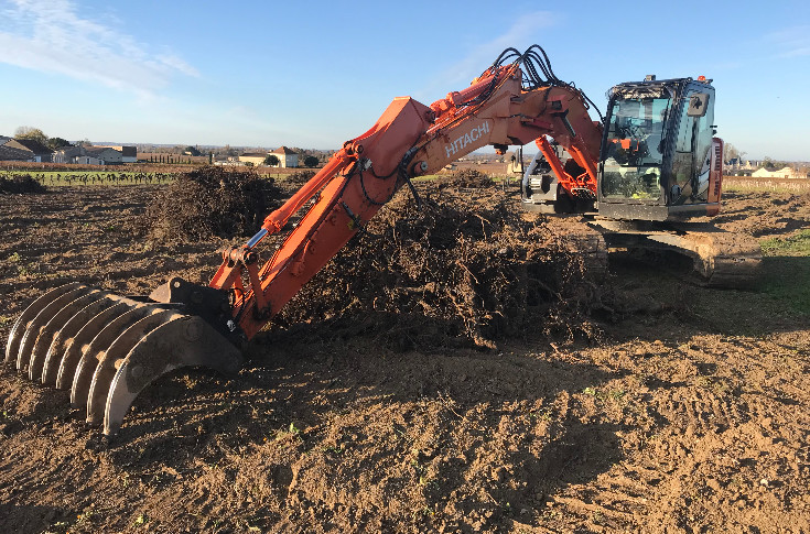 Vignes arrachées = terres moins imposées, si c’est bien déclaré dans les 2 années