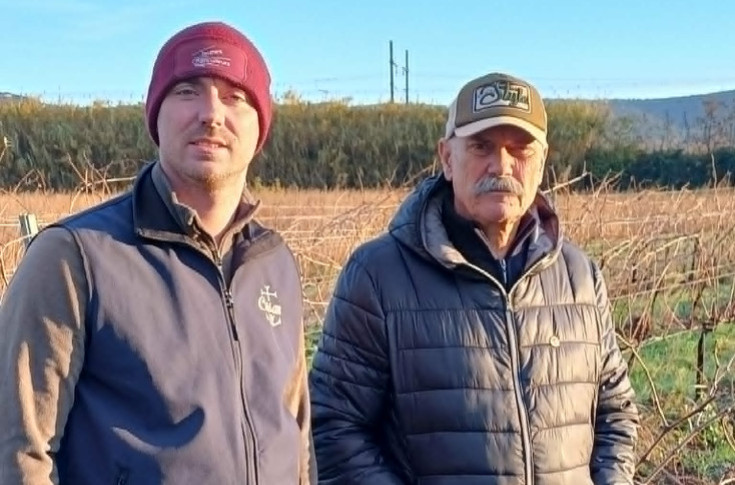 L’are et la matière viticoles par FranceAgriMer : réduire une restructuration, mais autoriser la même replantation et imposer des pénalités