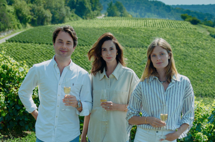 LVMH rachète 25 ha de vignes à Limoux pour son vin sans alcool