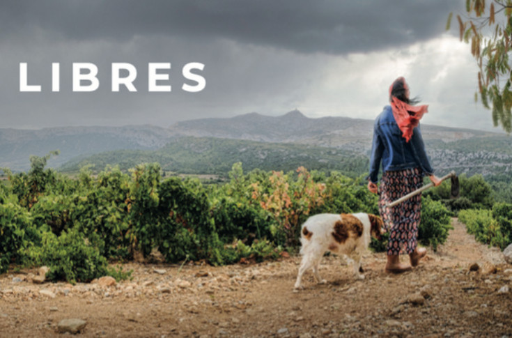 Plainte retirée pour l’espionnage industriel des vins catalans : Vica contrit, la famille Langlois blanchie