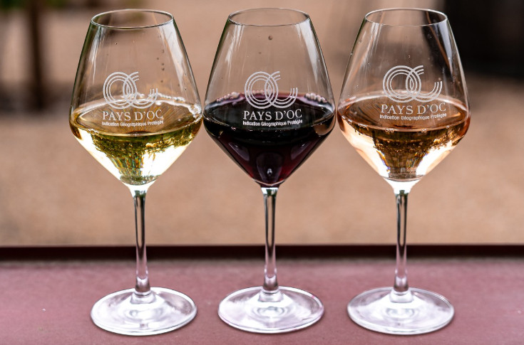 3 €/hl en dessous du prix d’orientation des vins HVE : des négociants 