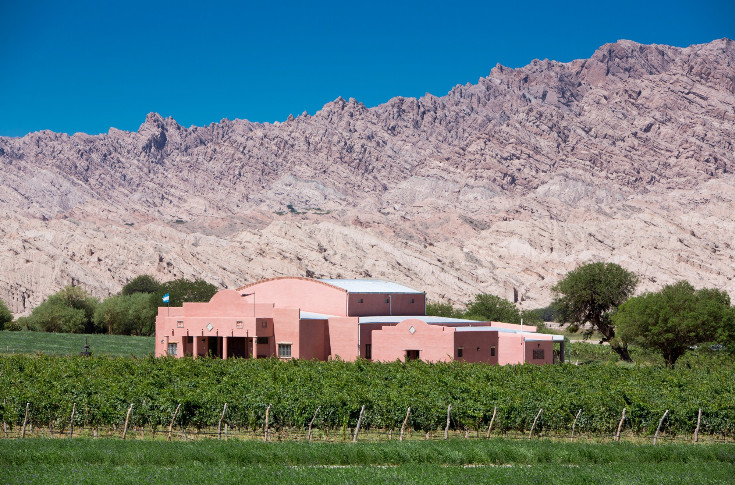 80 % de la réglementation vitivinicole argentine abrogée au nom de la compétitivité