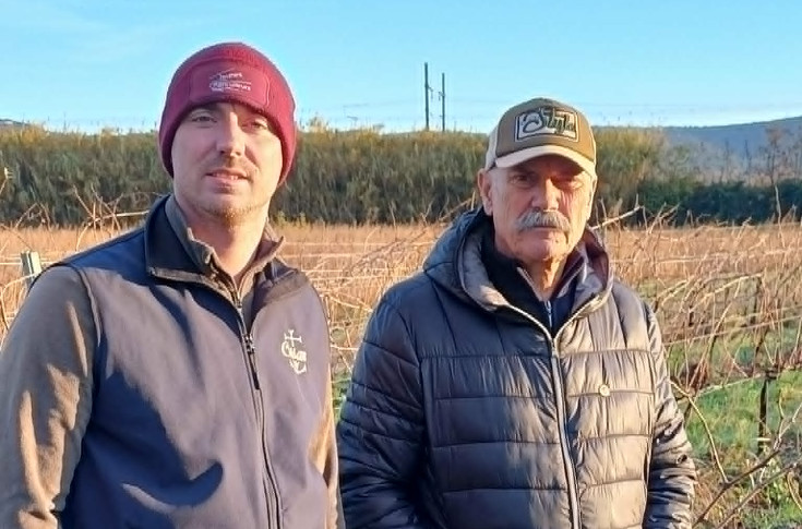 🎄Cadeau de Noël pour une famille vigneronne, FranceAgriMer fait amende honorable🎅
