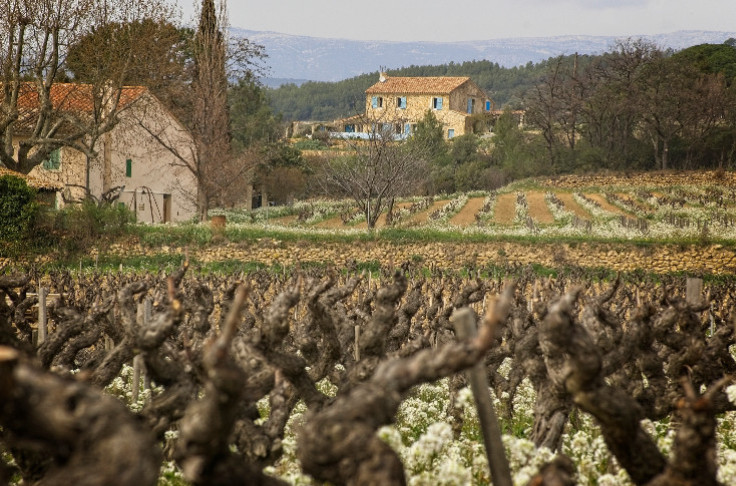Les vins rosés dans le rouge, des Côtes de Provence tombent à 100 €/hl