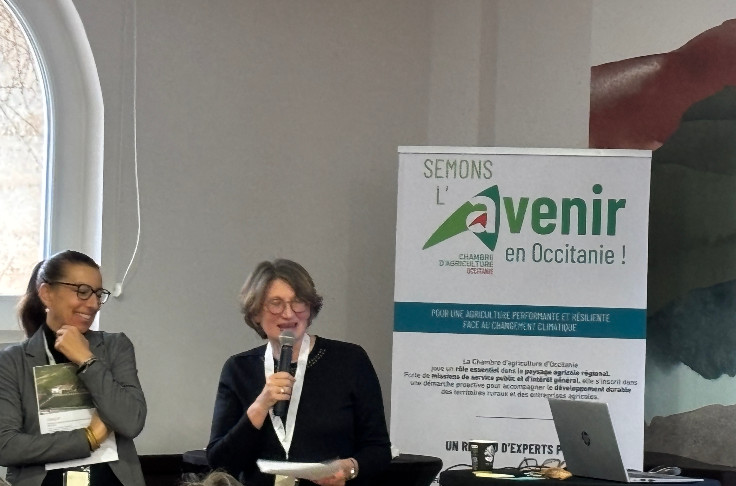 Tester en AOC les cépages de demain ? C'est possible, mais difficile : 