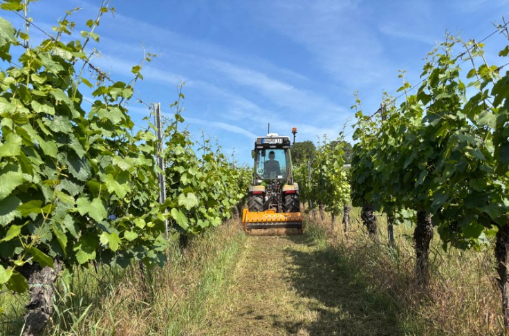 Chantiers viticoles : c’est Karnott qui pilote !