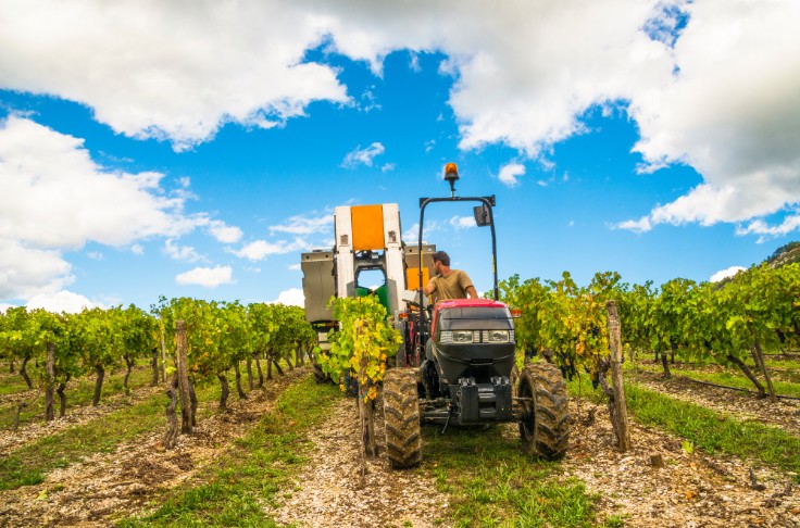 La vigne aussi confrontée aux enjeux de concurrence dans l’agroéquipement