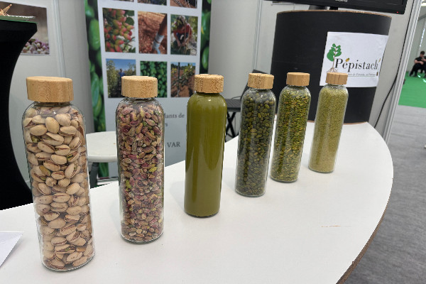 La pistache s'ouvre aux vignerons méridionaux en recherche de diversification