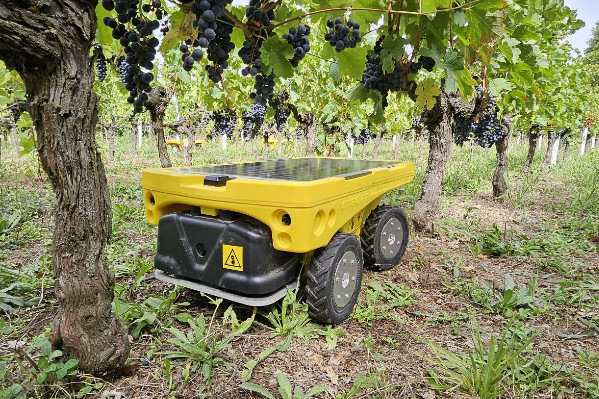 Robot vigneron sous protection pour 350 000 € et appel de fonds à 4 millions