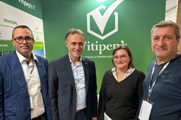 Les pépiniéristes viticoles face à la crise : 