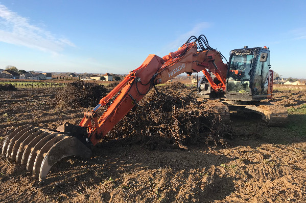 Vignes arrachées = terres moins imposées, si c’est bien déclaré dans les 2 années