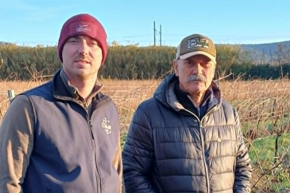 L’are et la matière viticoles par FranceAgriMer : réduire une restructuration, mais autoriser la même replantation et imposer des pénalités