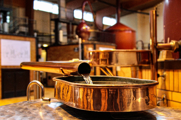 Cognac présente l'addition de l'arrachage chinois à Paris et Bruxelles : 'on ne peut pas être les oubliés de l’affaire'