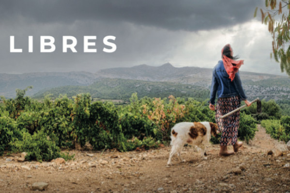 Plainte retirée pour l’espionnage industriel des vins catalans : Vica contrit, la famille Langlois blanchie