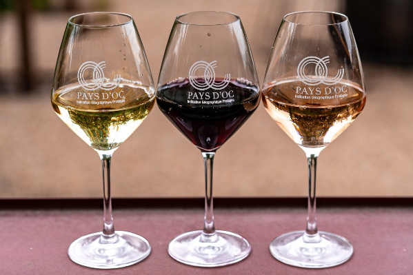 3 €/hl en dessous du prix d’orientation des vins HVE : des négociants 