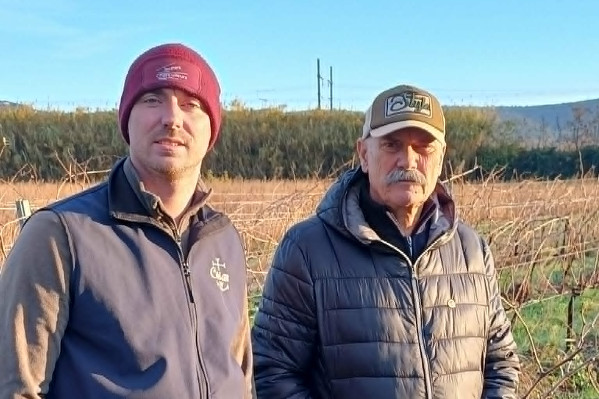 🎄Cadeau de Noël pour une famille vigneronne, FranceAgriMer fait amende honorable🎅