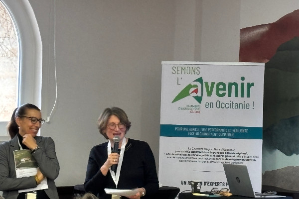 Tester en AOC les cépages de demain ? C'est possible, mais difficile : 'ce n'est pas vraiment une réussite'