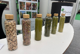 La pistache s'ouvre aux vignerons méridionaux en recherche de diversification