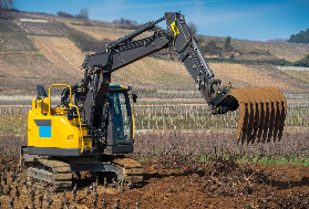 Déferlante de vignes arrachées à Bordeaux : 