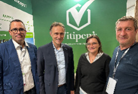 Les pépiniéristes viticoles face à la crise : 'la question est de savoir si l’on a encore l’argent pour mettre en terre l’année prochaine'