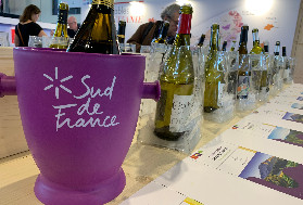 Sud de France c’est fini pour 100 millions de bouteilles de vin dès 2025 : 