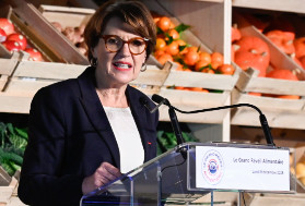 La compétitivité phyto du vignoble français n’est plus un gros mot, encore faut-il que cessent ses maux