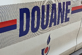Le plantage du site de déclaration de vendanges pousse les douanes au report et les vignerons aux soupirs