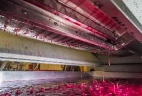 Les vins de presse passés au peigne fin