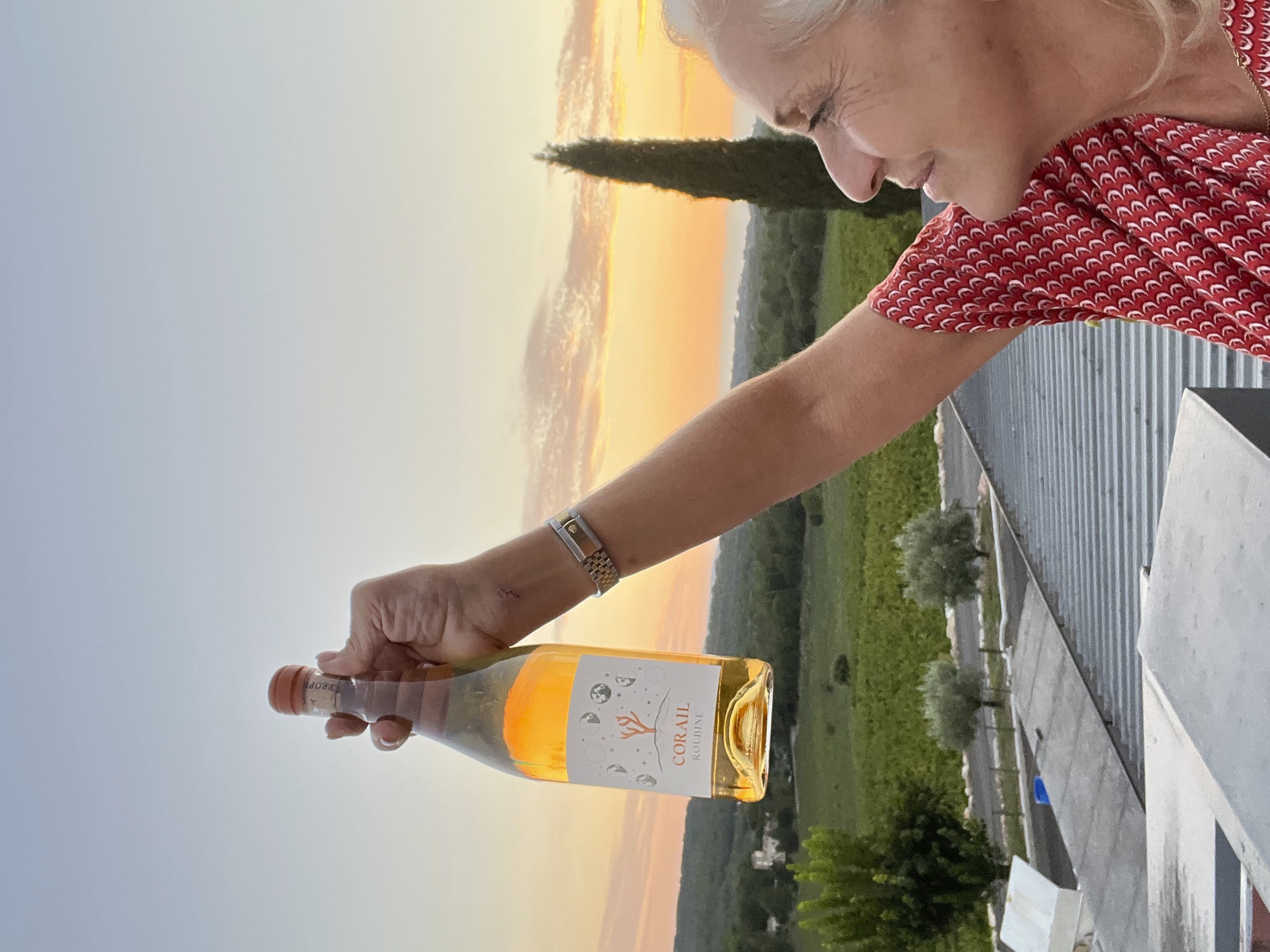 20220524_113500.jpg 20220524_113500.jpg