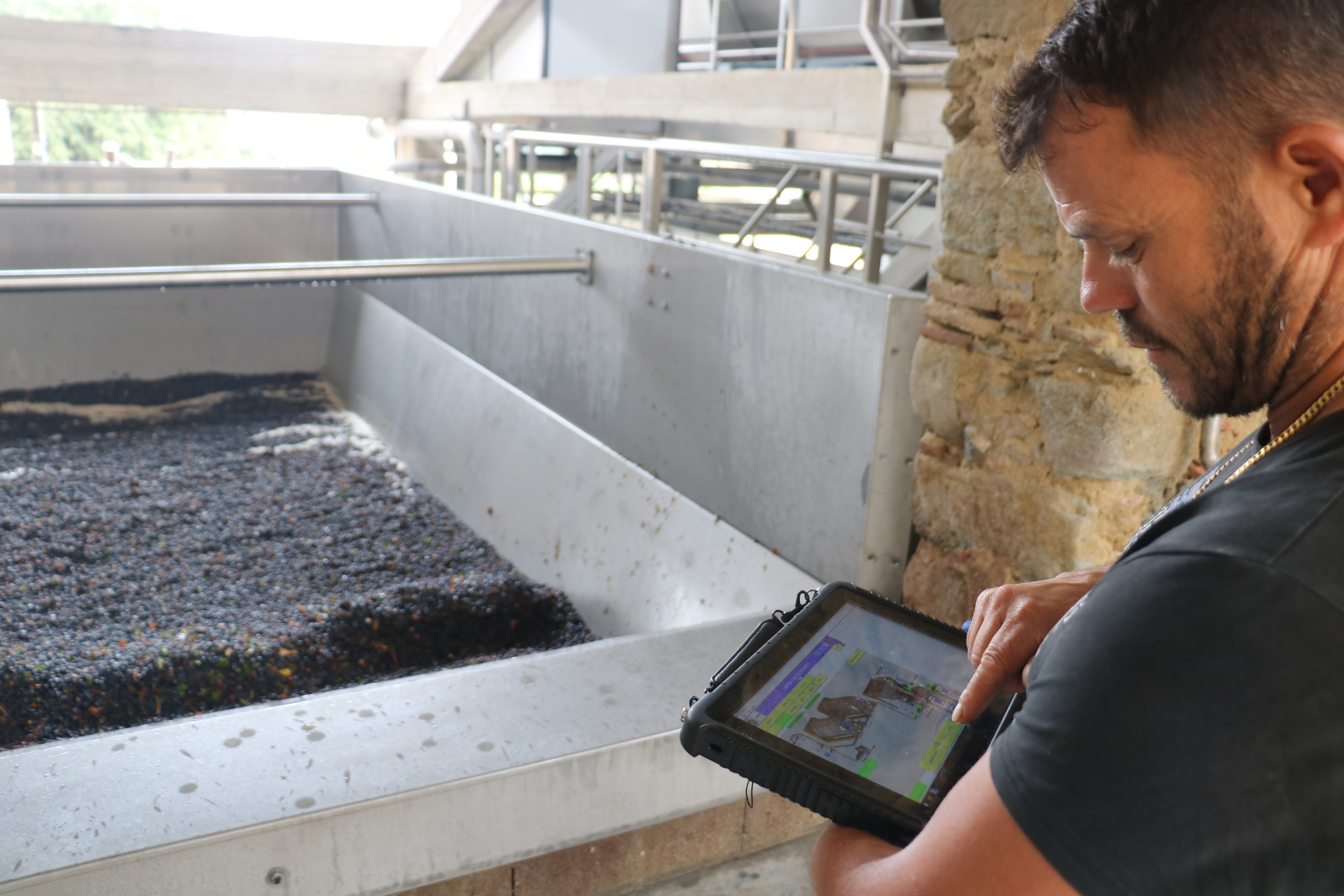 IMG_1386.JPG IMG_1386.JPG