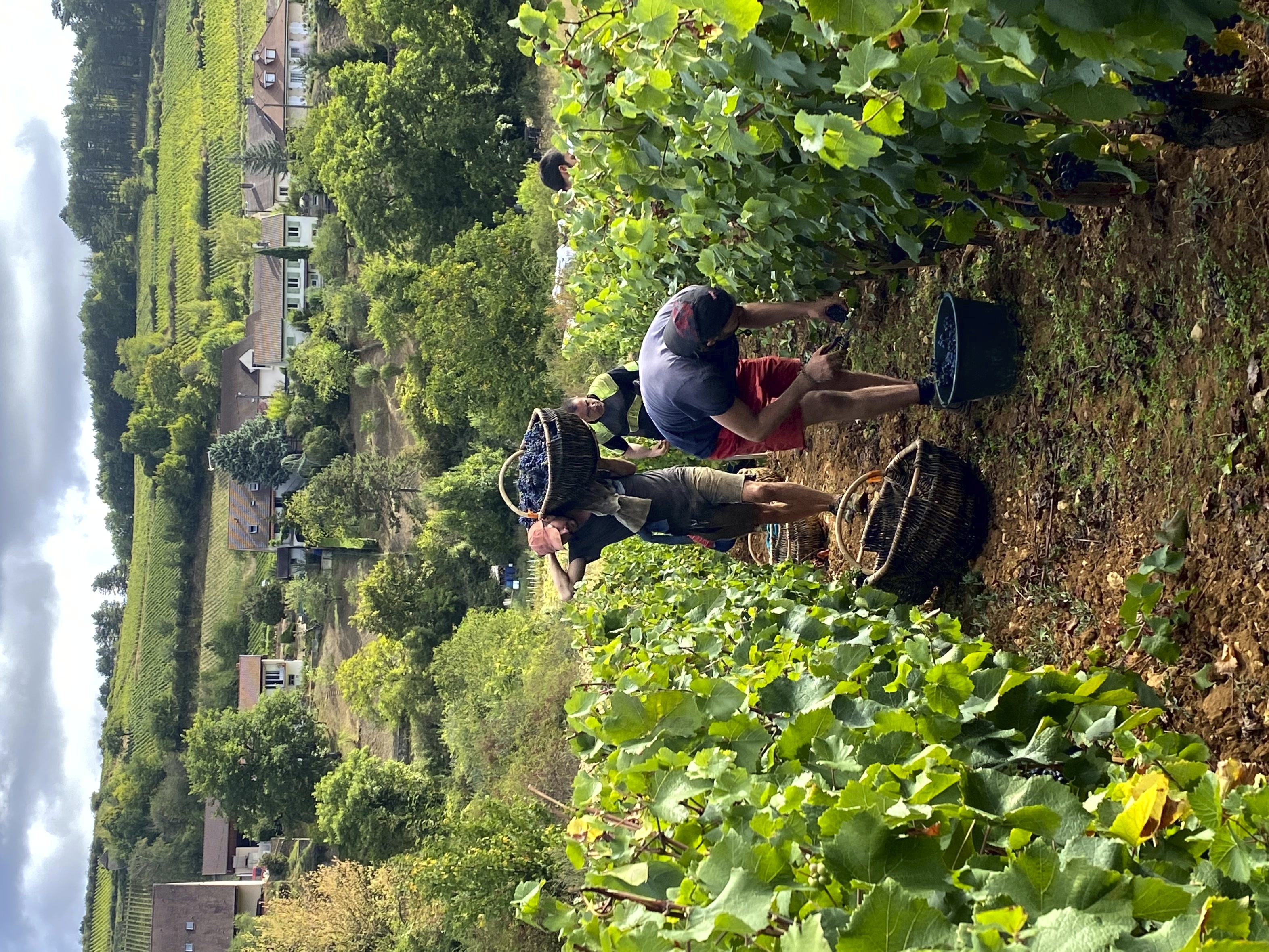 IMG_8354.jpg IMG_8354.jpg