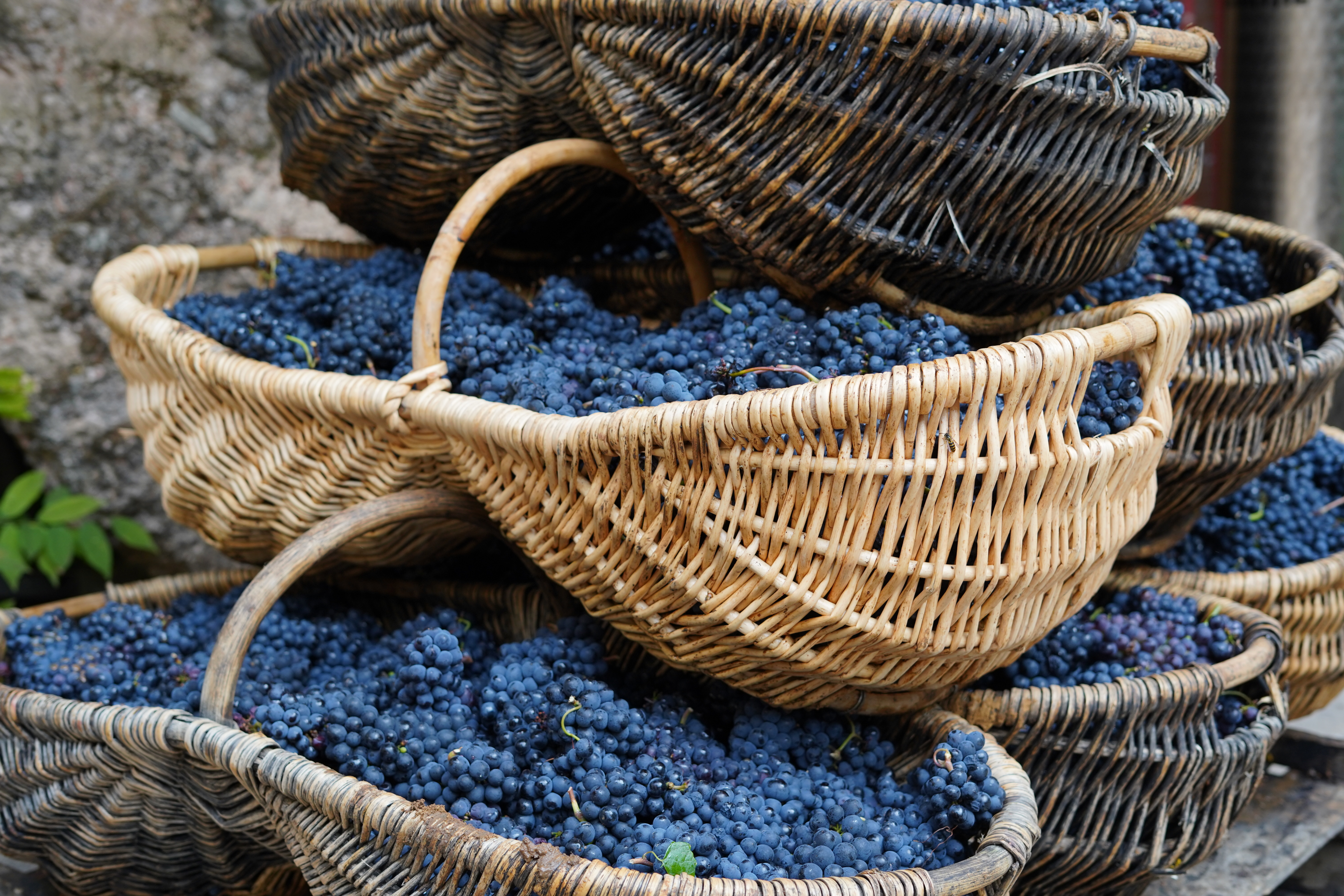 DSC01506.JPG DSC01506.JPG