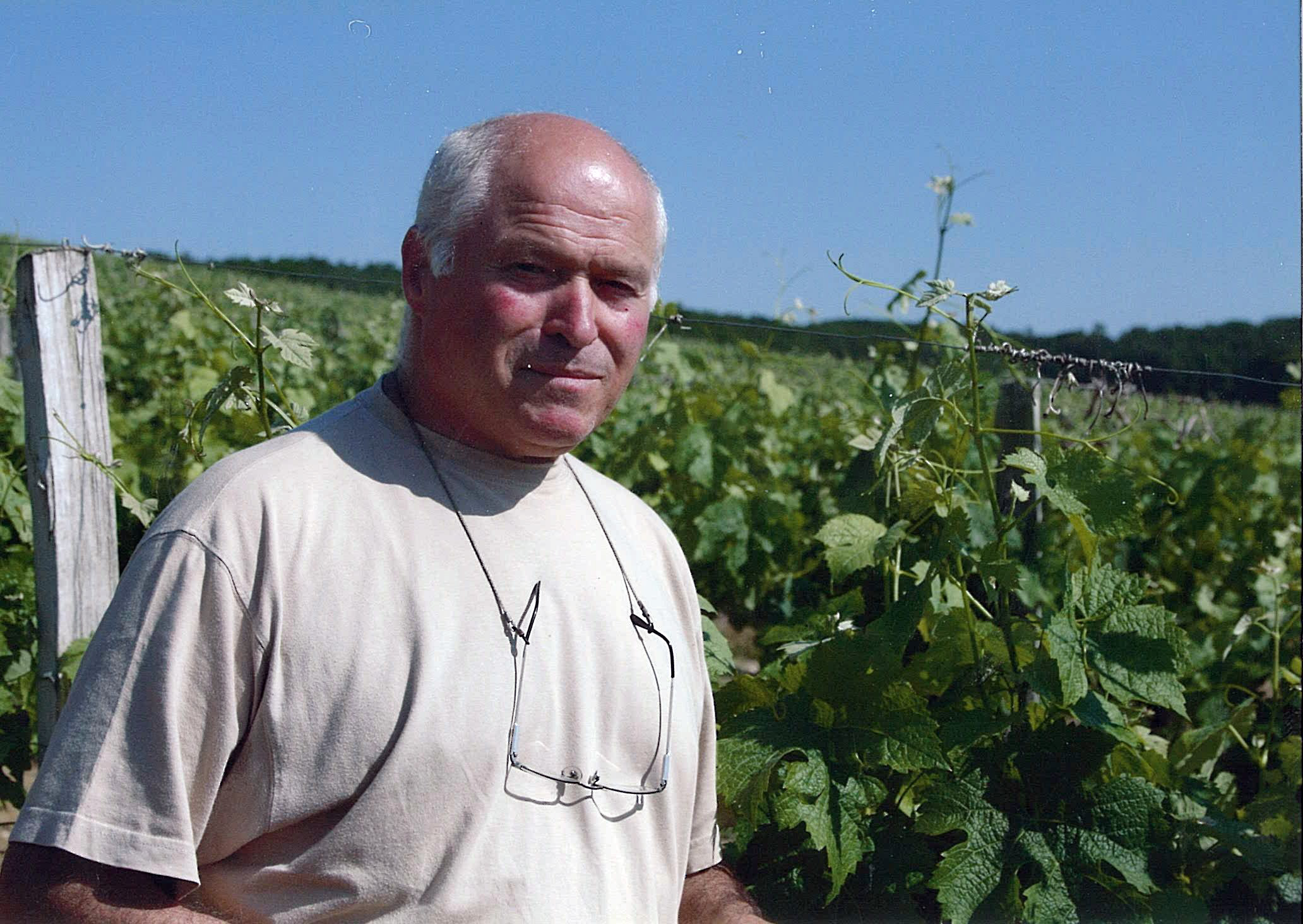 Michel Maestrojuan.jpg Michel Maestrojuan.jpg