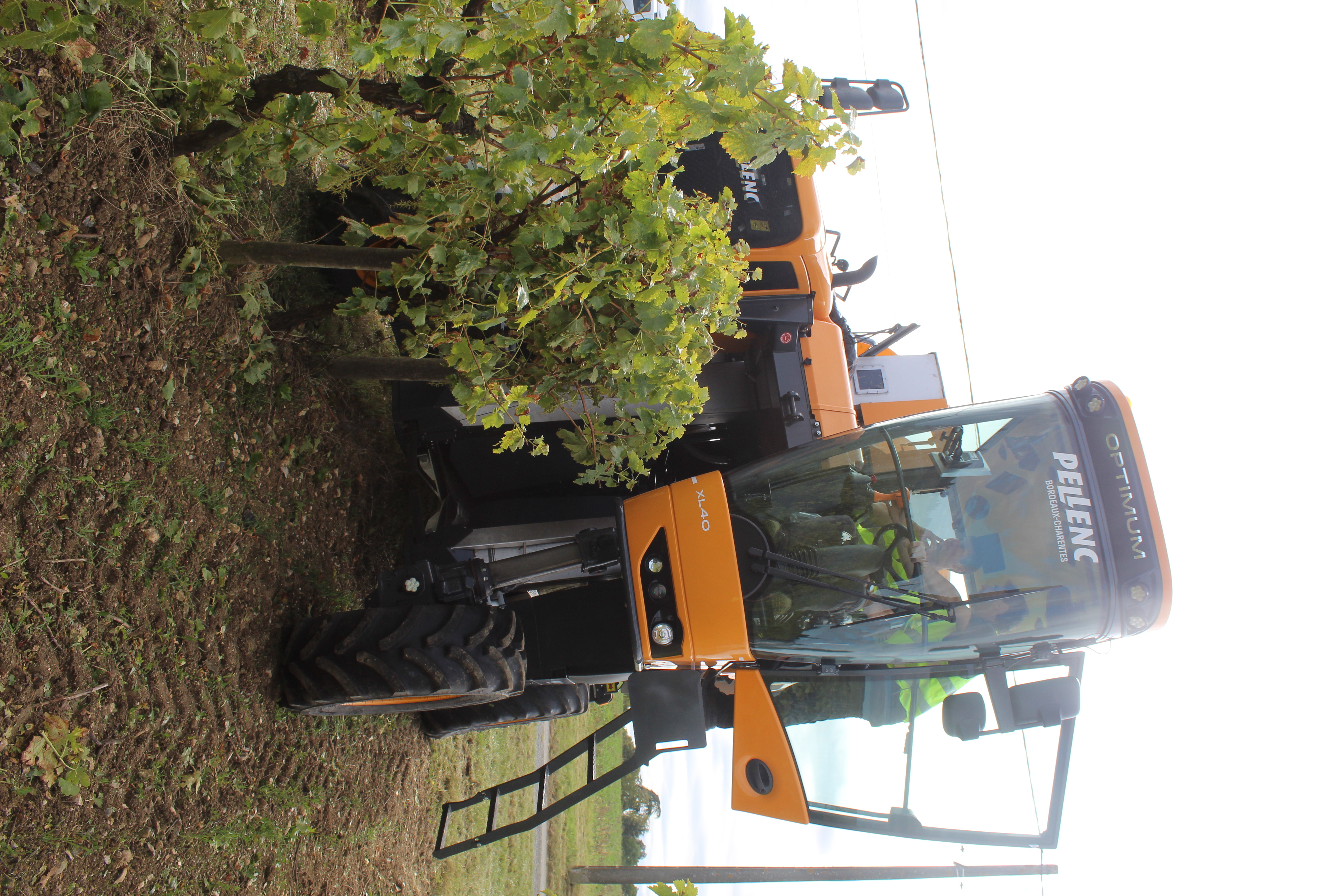 IMG_1412.JPG IMG_1412.JPG