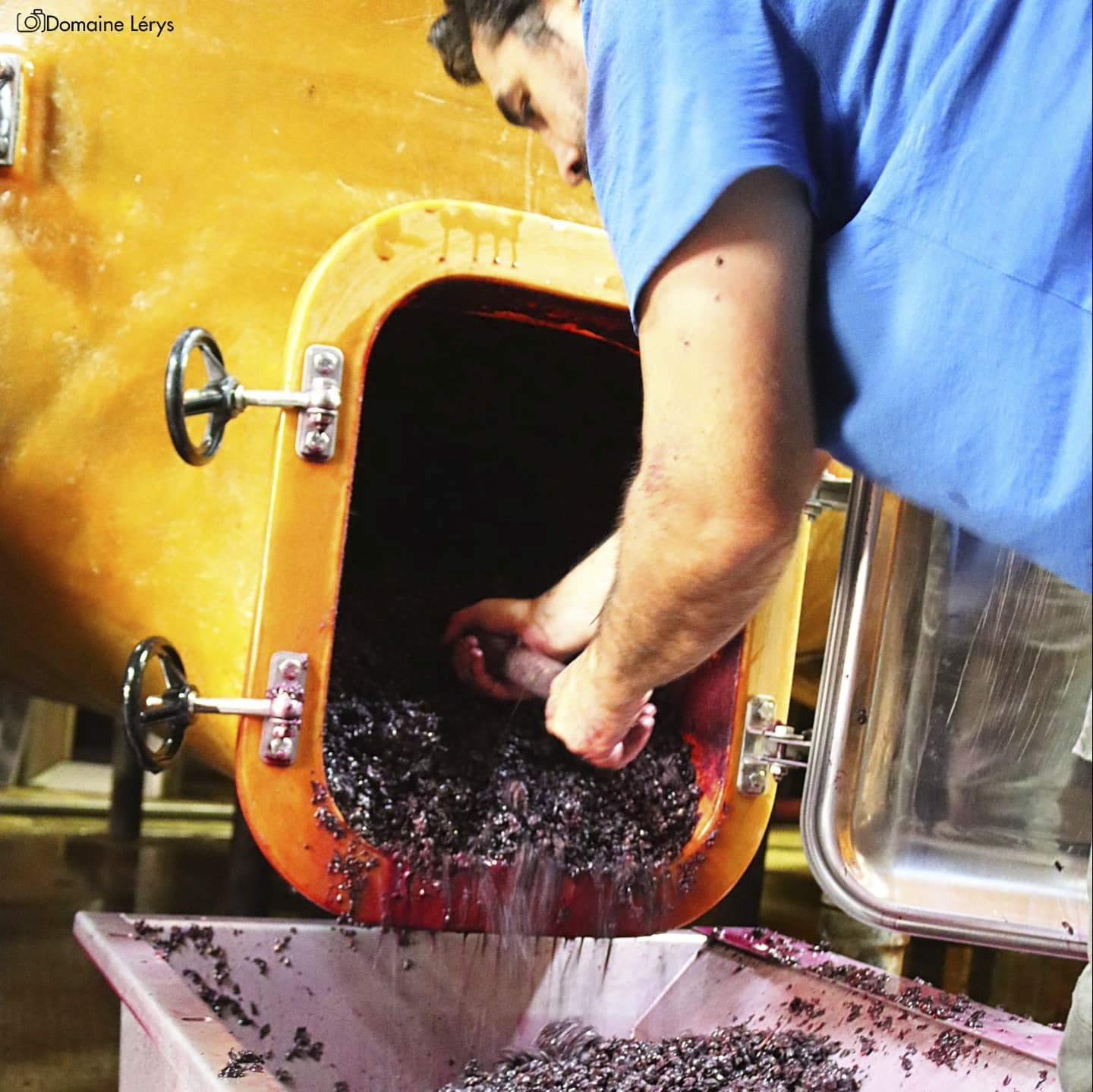 AlbanIzard_crEditDomaineLErys4.jpg AlbanIzard_crEditDomaineLErys4.jpg