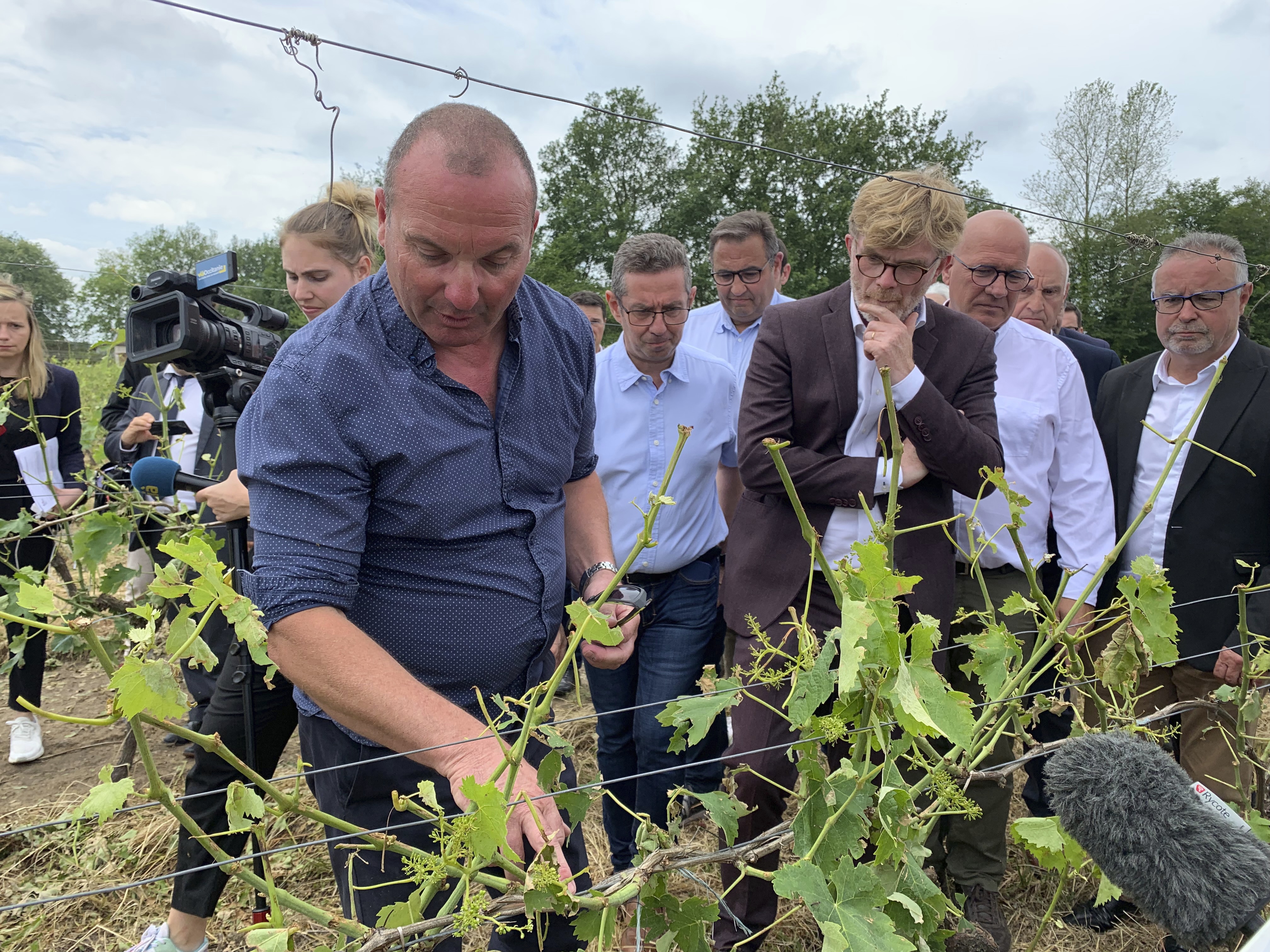 JadeRigaudDomainelesMoulins.jpeg JadeRigaudDomainelesMoulins.jpeg