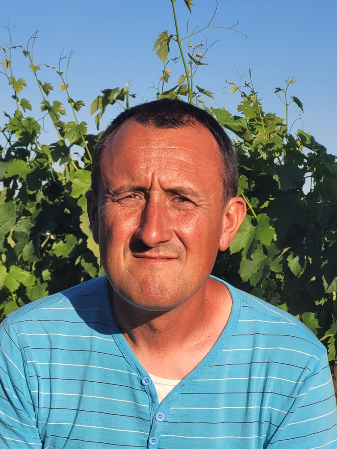 gorphe.jpg gorphe.jpg