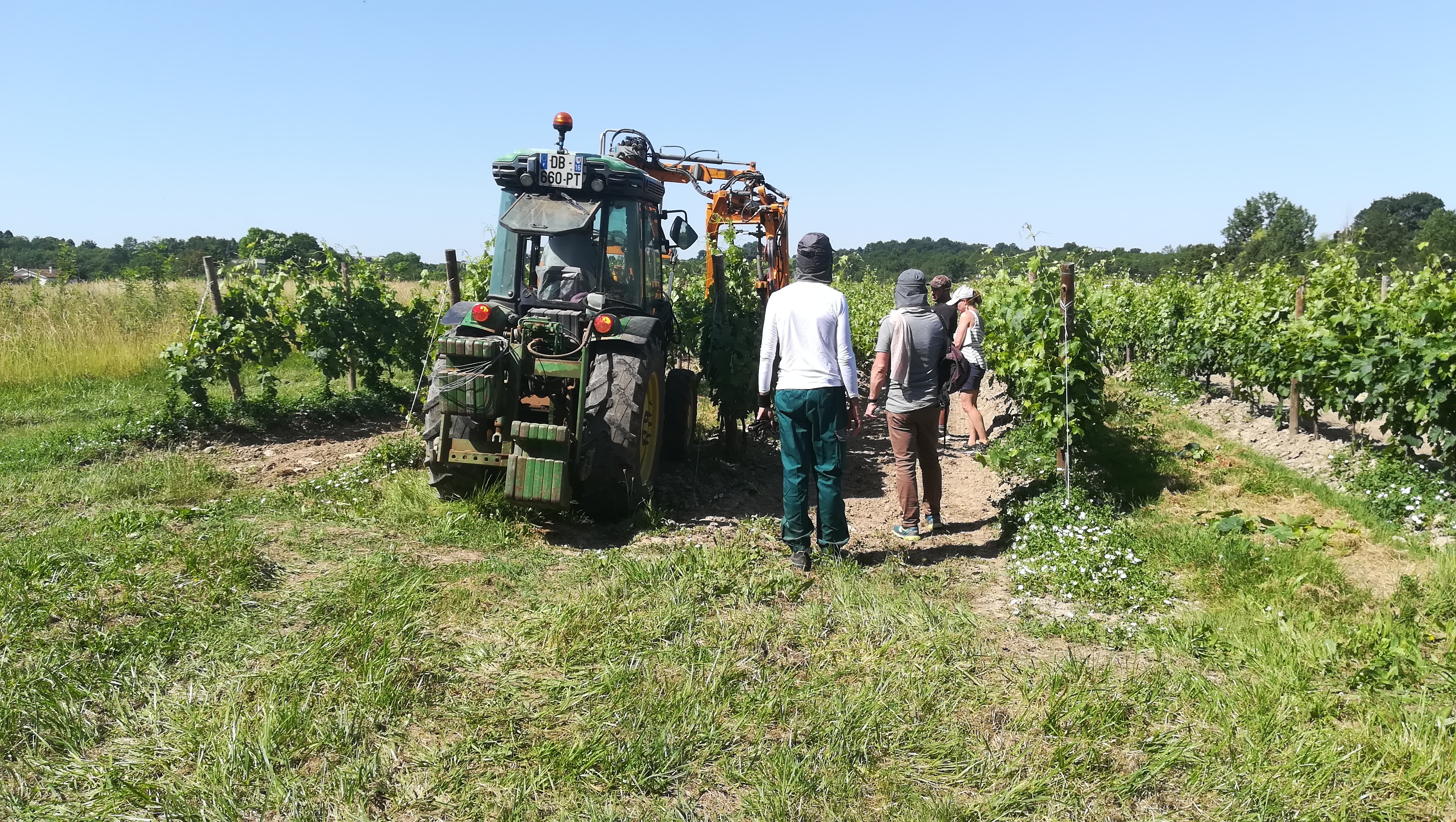 IMG_20210615_110814.jpg IMG_20210615_110814.jpg