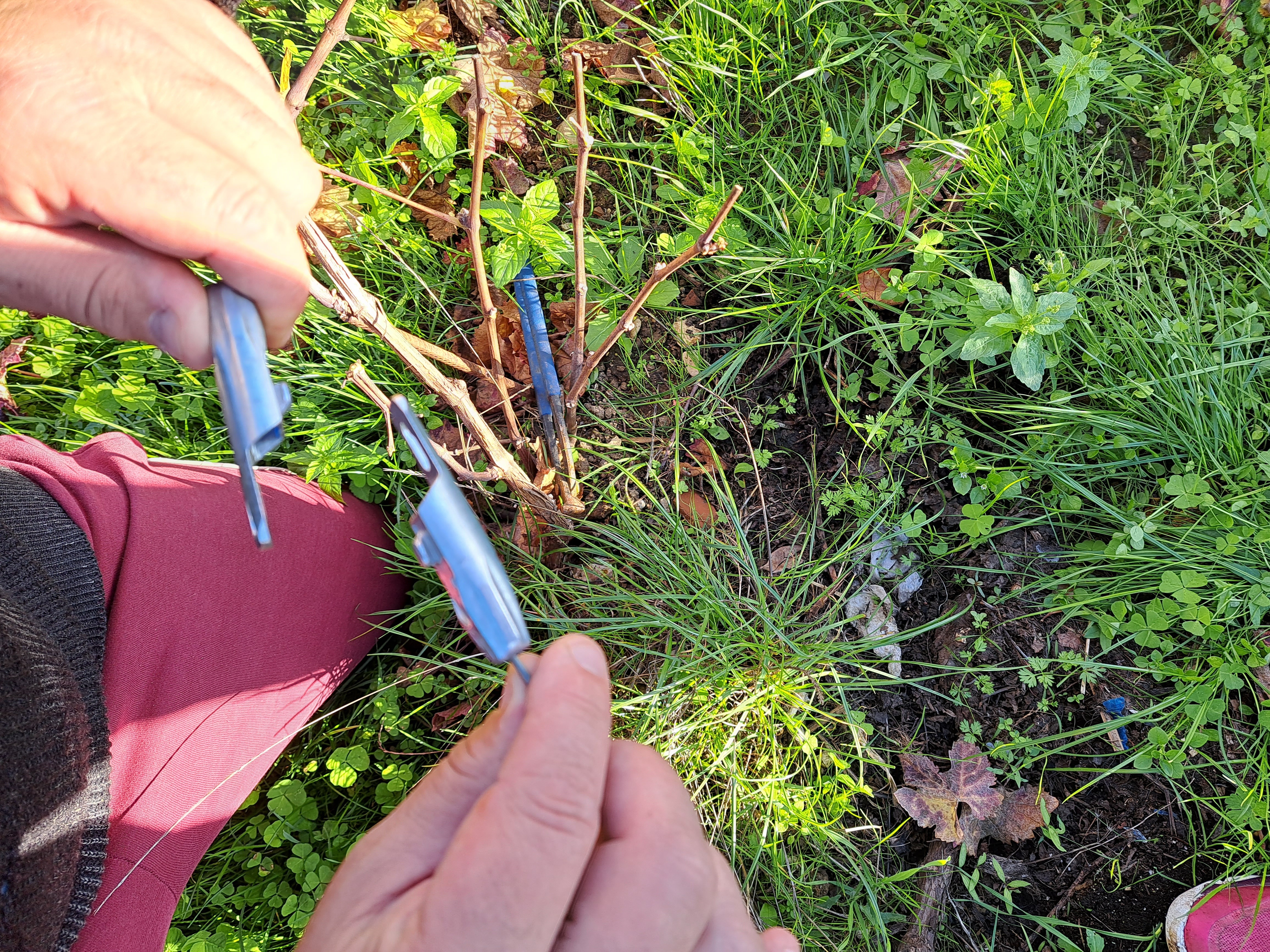 GP Fix, EARL Claude Bierry21026_163345.jpg