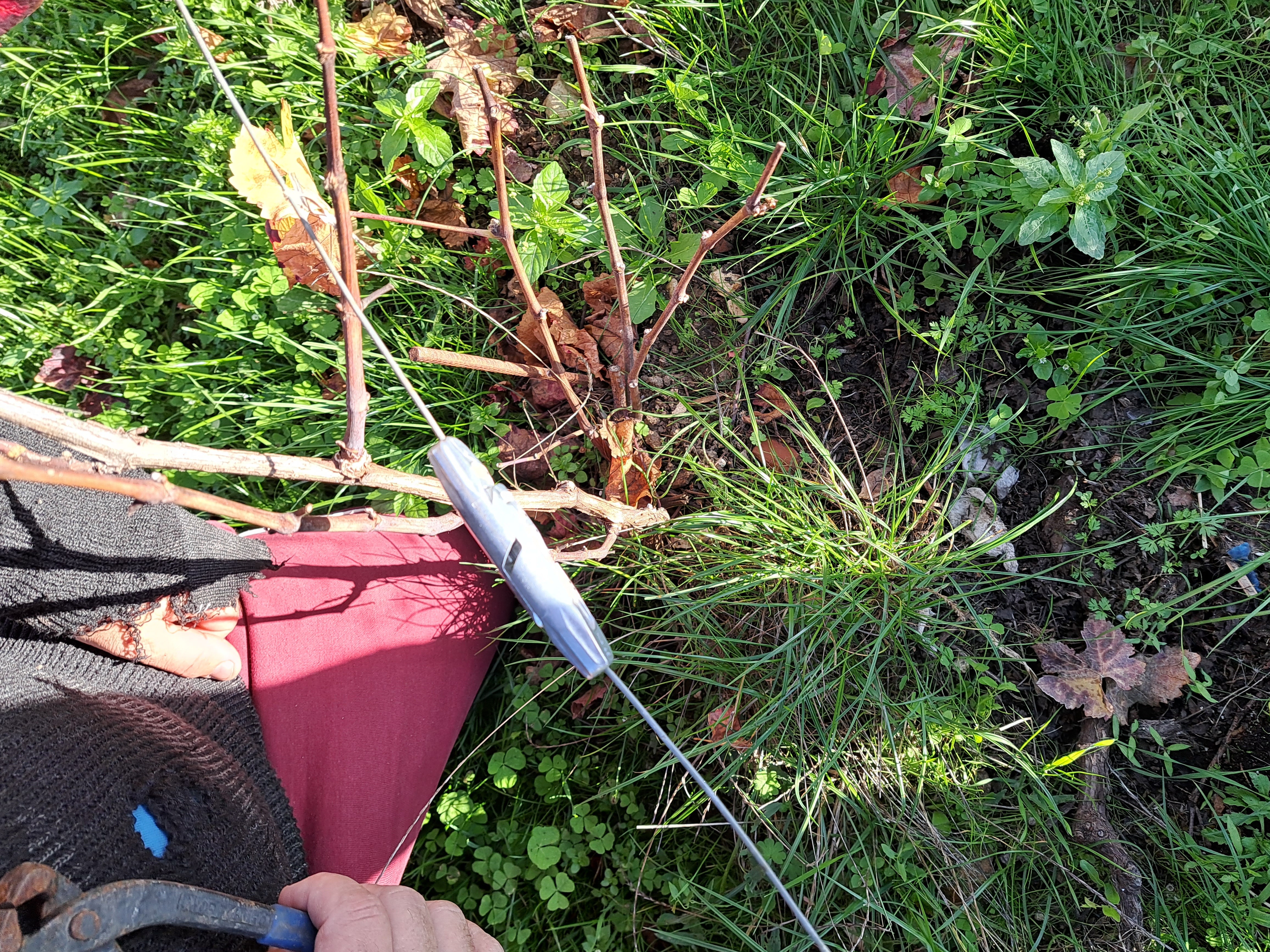 GP Fix, EARL Claude Bierry221026_163409.jpg