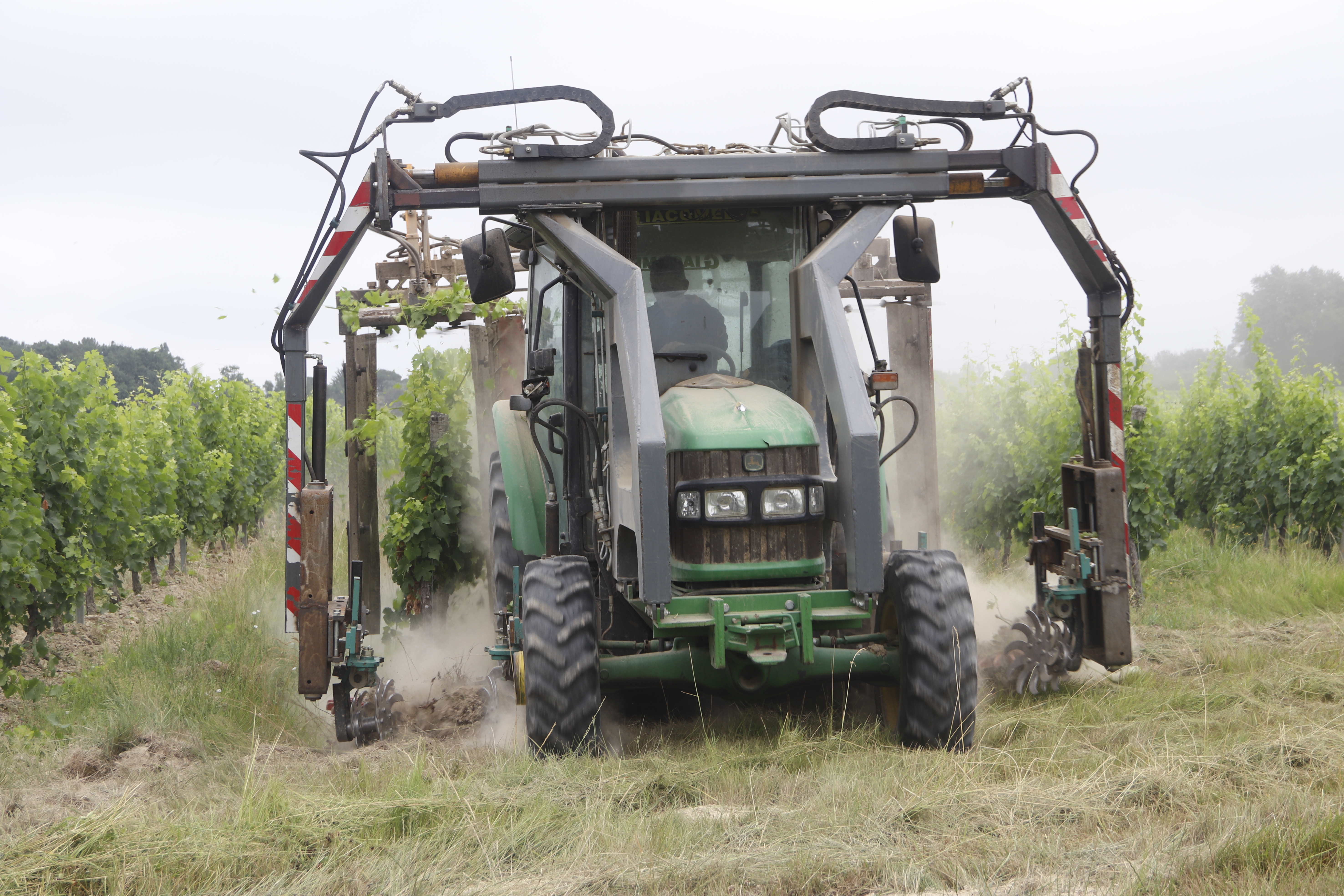 _MG_0740.JPG _MG_0740.JPG