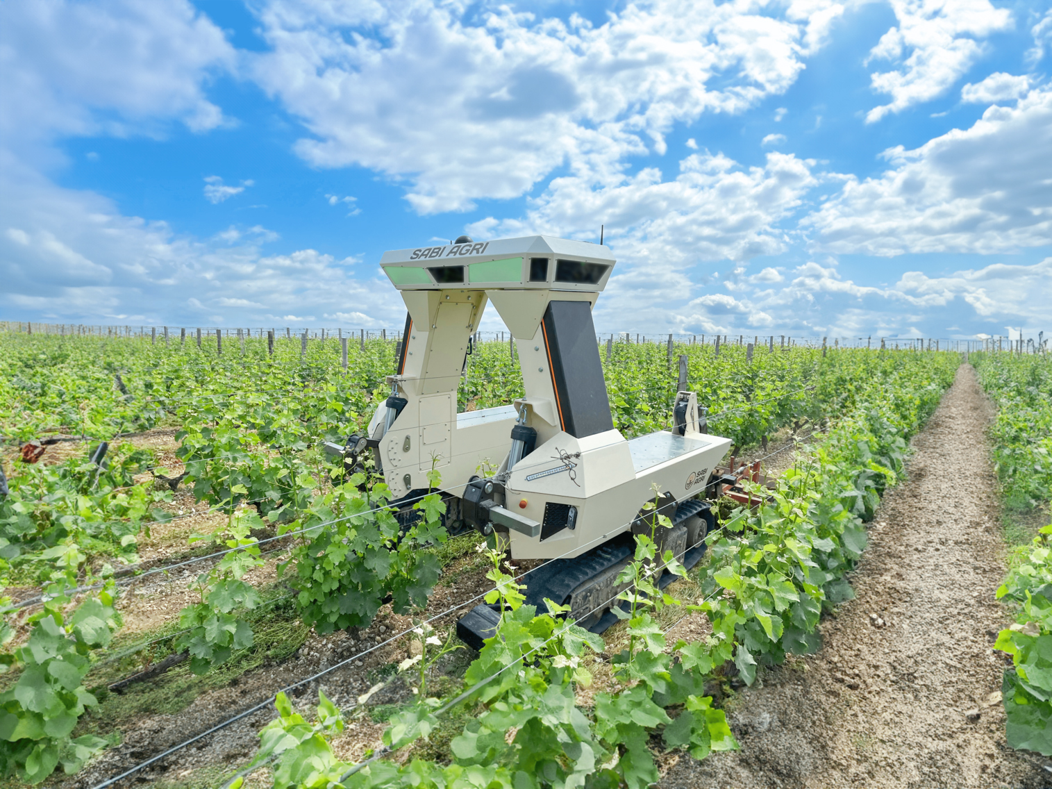 SABI_AGRI_chenillard_Zilus.jpg