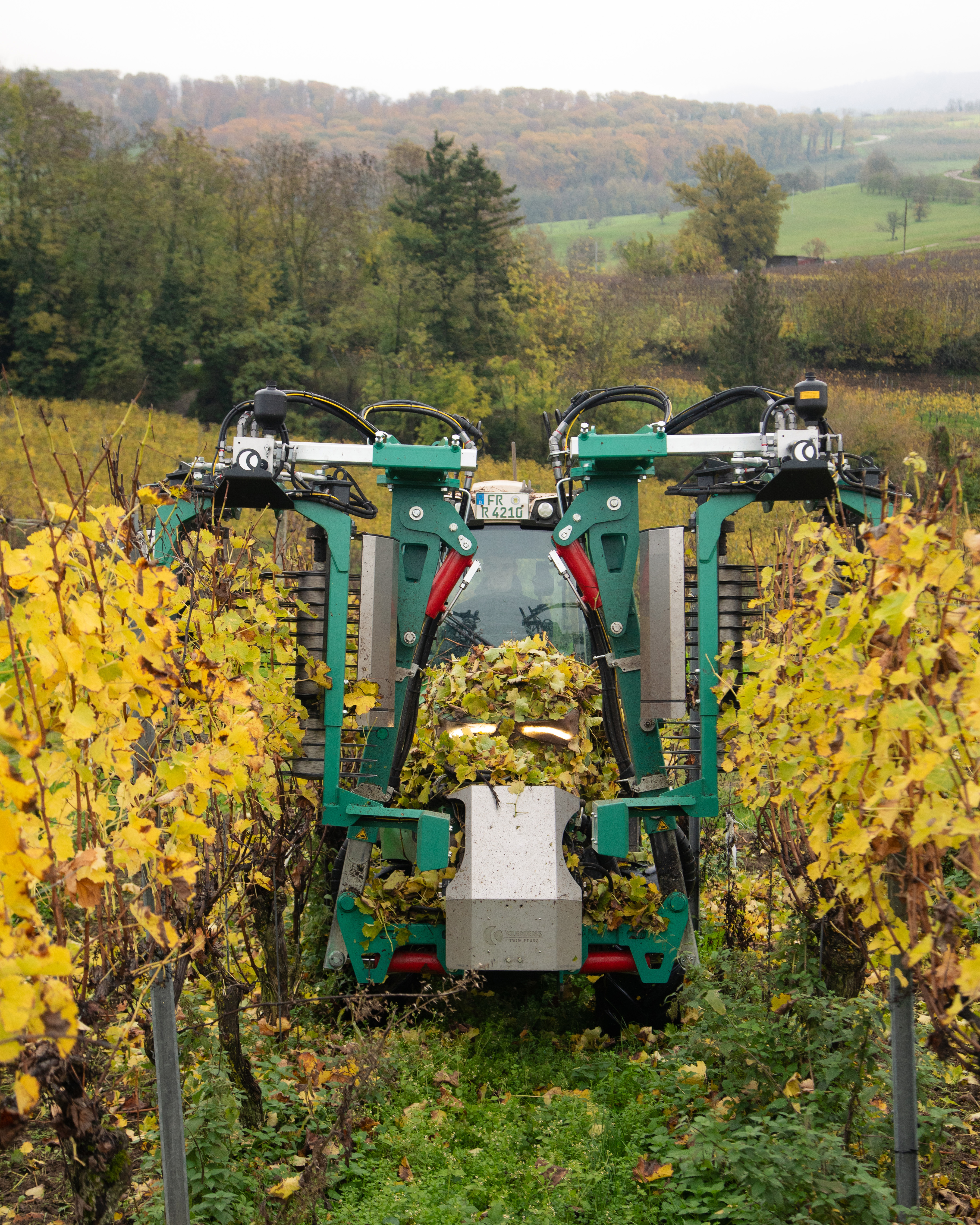 clemens c-visio.jpg clemens c-visio.jpg