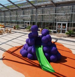 Un nouvel objet ludique exposé à la Winery