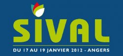 SIVAL 2012 : un pied de nez à la morosité !
