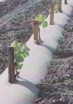 Paillage végétal 