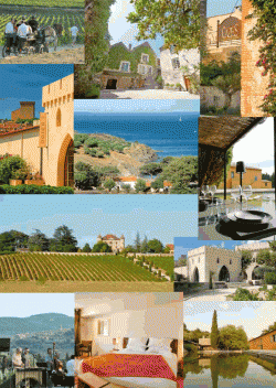 Quand les vignerons ouvrent les portes de leurs chais