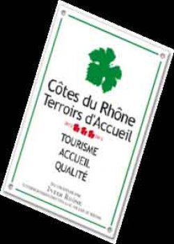 Voyage dans le temps et dans les vignes