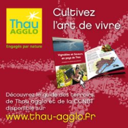 Œnotourisme : le pays de Thau s’organise pour rayonner dans le temps