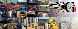 Vins : une cuvée participative via Facebook et Twitter 